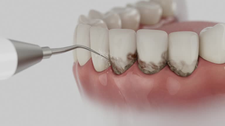 Reliable Dental contractor in Edenton, NC by Dentist Open Now